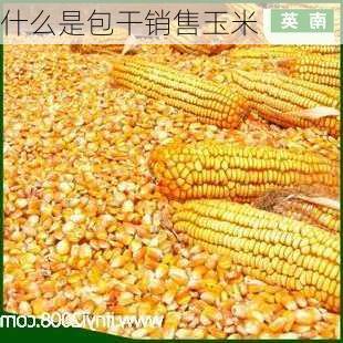 什么是包干销售玉米