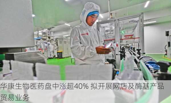 华康生物医药盘中涨超40% 拟开展网店及酶基产品贸易业务