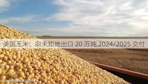 美国玉米：向未知地出口 20 万吨 2024/2025 交付