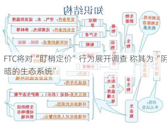 FTC将对“盯梢定价”行为展开调查 称其为“阴暗的生态系统”