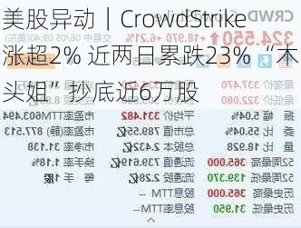 美股异动｜CrowdStrike涨超2% 近两日累跌23% “木头姐”抄底近6万股