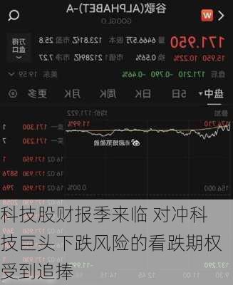 科技股财报季来临 对冲科技巨头下跌风险的看跌期权受到追捧