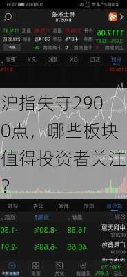 沪指失守2900点，哪些板块值得投资者关注？