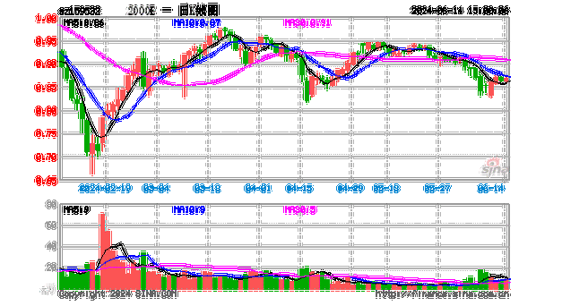 福星股份大宗交易折价成交572.30万股