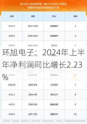 环旭电子：2024年上半年净利润同比增长2.23%