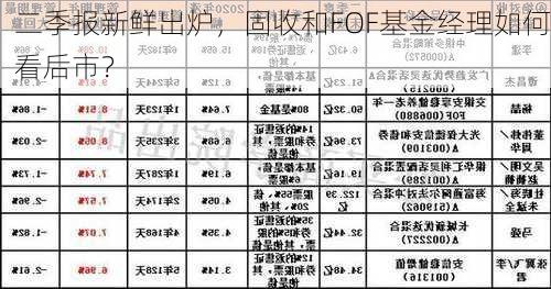 二季报新鲜出炉，固收和FOF基金经理如何看后市？