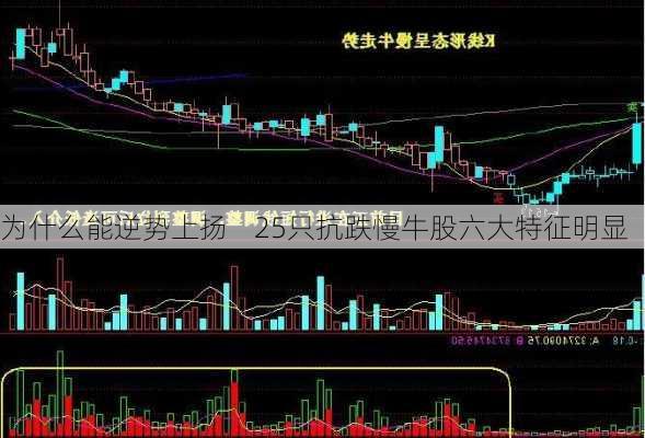 为什么能逆势上扬    25只抗跌慢牛股六大特征明显