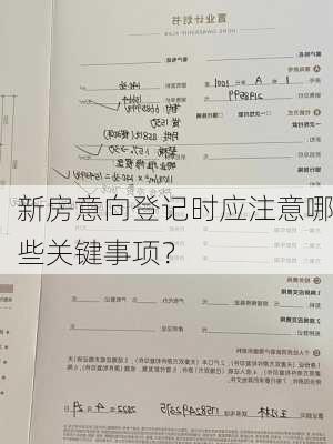 新房意向登记时应注意哪些关键事项？