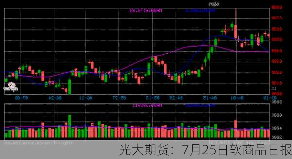 光大期货：7月25日软商品日报