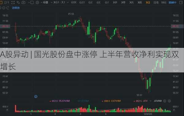 A股异动 | 国光股份盘中涨停 上半年营收净利实现双增长