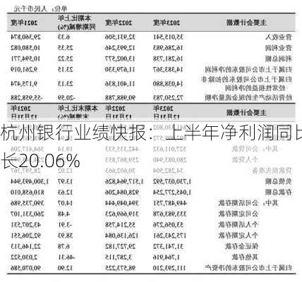 杭州银行业绩快报：上半年净利润同比增长20.06%