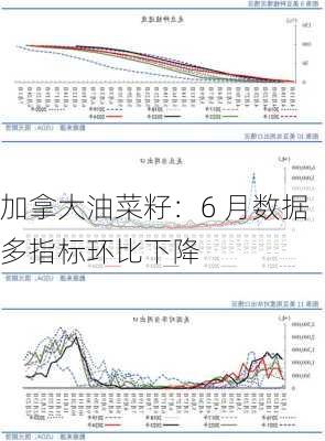 加拿大油菜籽：6 月数据多指标环比下降