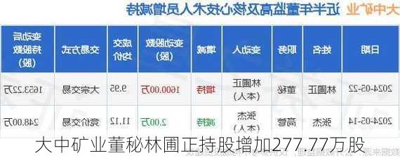 大中矿业董秘林圃正持股增加277.77万股