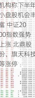 机构称下半年小盘股机会丰富 中证2000指数强势上涨 北鼎股份、旗天科技等涨停