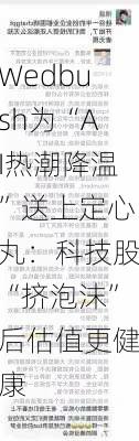 Wedbush为“AI热潮降温”送上定心丸：科技股“挤泡沫”后估值更健康