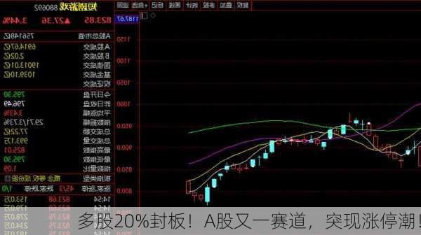 多股20%封板！A股又一赛道，突现涨停潮！