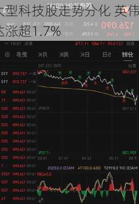 大型科技股走势分化 英伟达涨超1.7%