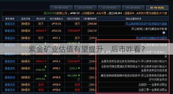 紫金矿业估值有望提升，后市咋看？
