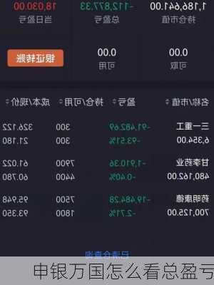申银万国怎么看总盈亏