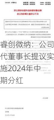 睿创微纳：公司代董事长提议实施2024年中期分红