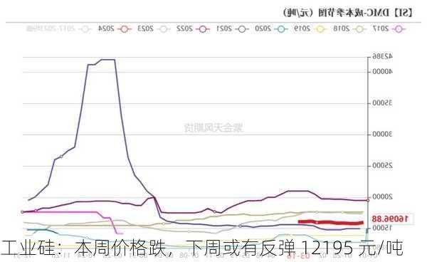 工业硅：本周价格跌，下周或有反弹 12195 元/吨