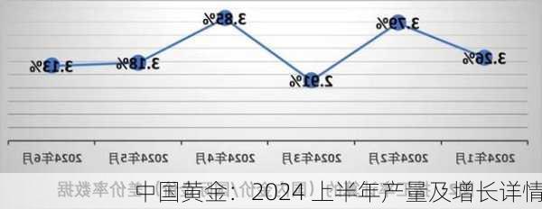 中国黄金：2024 上半年产量及增长详情