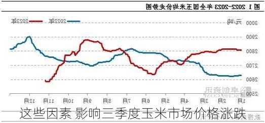 这些因素 影响三季度玉米市场价格涨跌