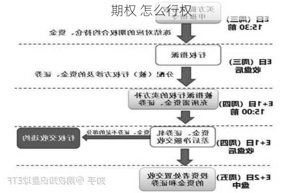 期权 怎么行权