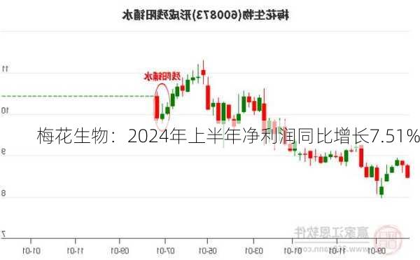 梅花生物：2024年上半年净利润同比增长7.51%