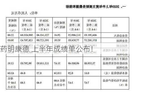 药明康德 上半年成绩单公布！