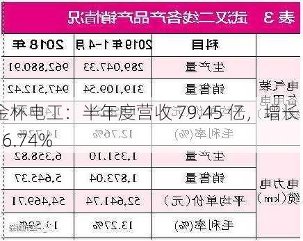 金杯电工：半年度营收 79.45 亿，增长 16.74%