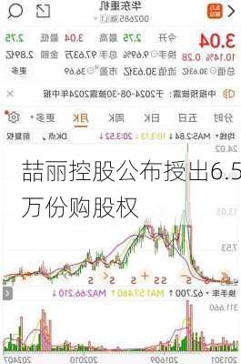 喆丽控股公布授出6.5万份购股权