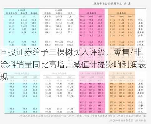 国投证券给予三棵树买入评级，零售/非涂料销量同比高增，减值计提影响利润表现