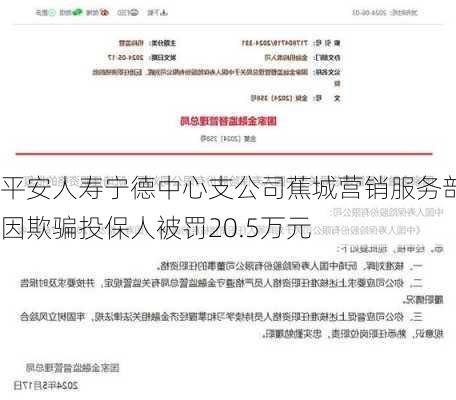 平安人寿宁德中心支公司蕉城营销服务部因欺骗投保人被罚20.5万元