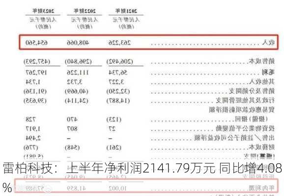 雷柏科技：上半年净利润2141.79万元 同比增4.08%