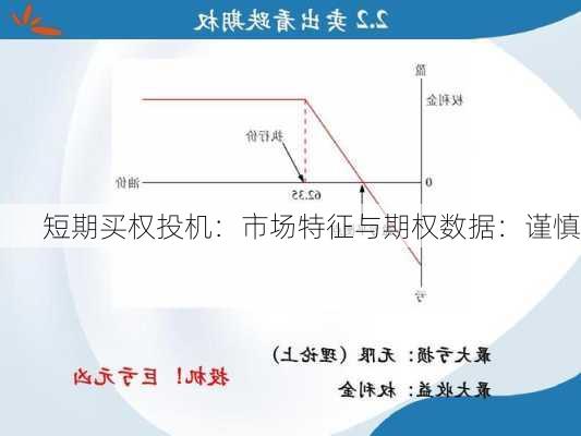 短期买权投机：市场特征与期权数据：谨慎