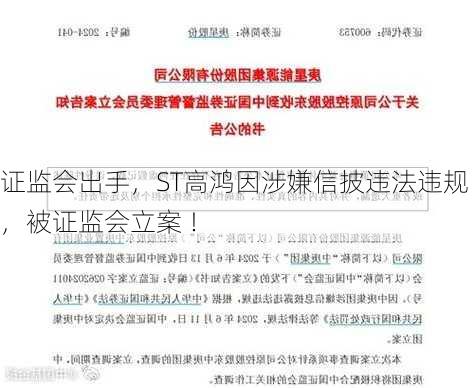 证监会出手，ST高鸿因涉嫌信披违法违规，被证监会立案 ！