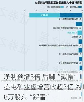 净利预增5倍 后脚“戴帽”！盛屯矿业虚增营收超3亿 约18万股东“踩雷”