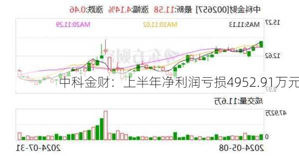 中科金财：上半年净利润亏损4952.91万元