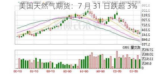 美国天然气期货：7 月 31 日跌超 3%