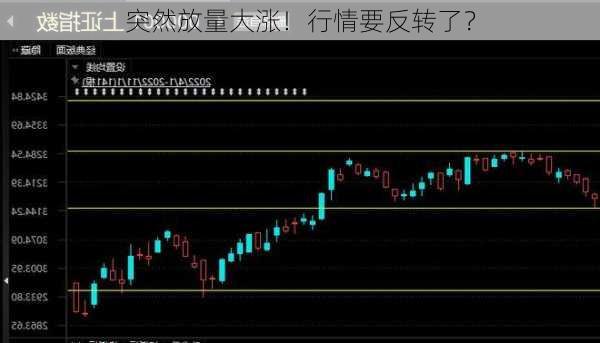 突然放量大涨！行情要反转了？