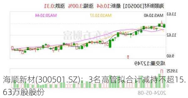 海顺新材(300501.SZ)：3名高管拟合计减持不超15.63万股股份