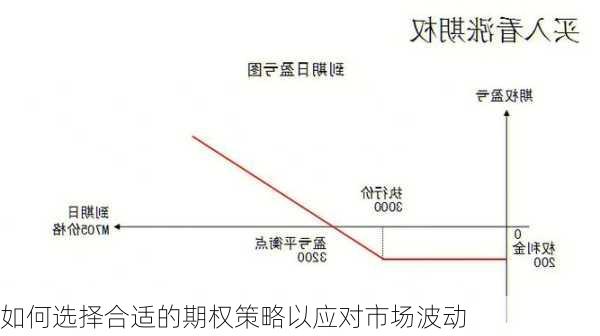 如何选择合适的期权策略以应对市场波动