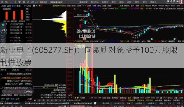 新亚电子(605277.SH)：向激励对象授予100万股限制性股票