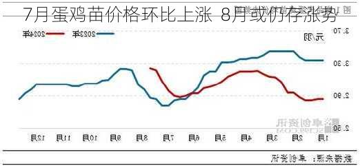 7月蛋鸡苗价格环比上涨  8月或仍存涨势