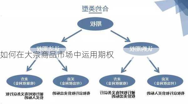 如何在大宗商品市场中运用期权