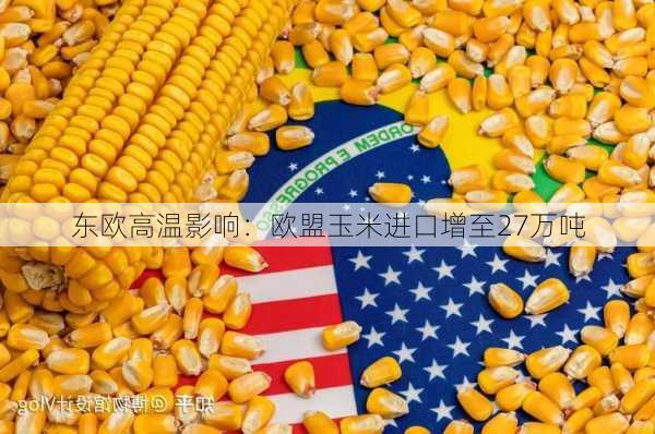 东欧高温影响：欧盟玉米进口增至27万吨