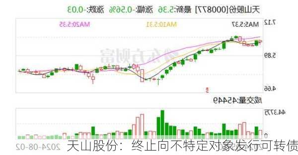 天山股份：终止向不特定对象发行可转债