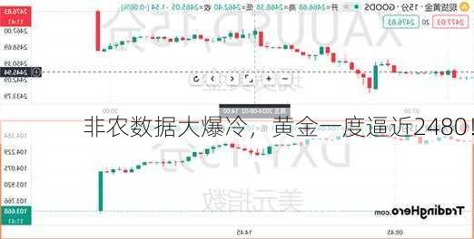 非农数据大爆冷，黄金一度逼近2480！