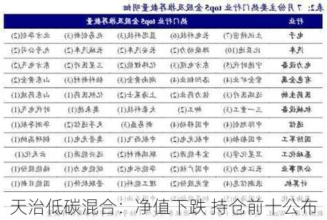 天治低碳混合：净值下跌 持仓前十公布